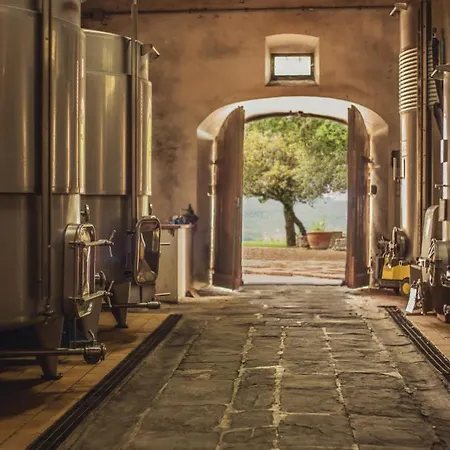 Fattoria di Rignana-2